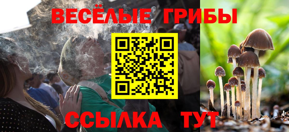 Псилоцибиновые грибы мухоморы  Вход с VPN  Ахтубинск  Галлюциногенные грибы ЛСД 